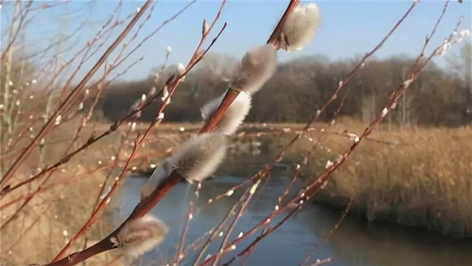 Апрель айына халыҡ һынамыштары