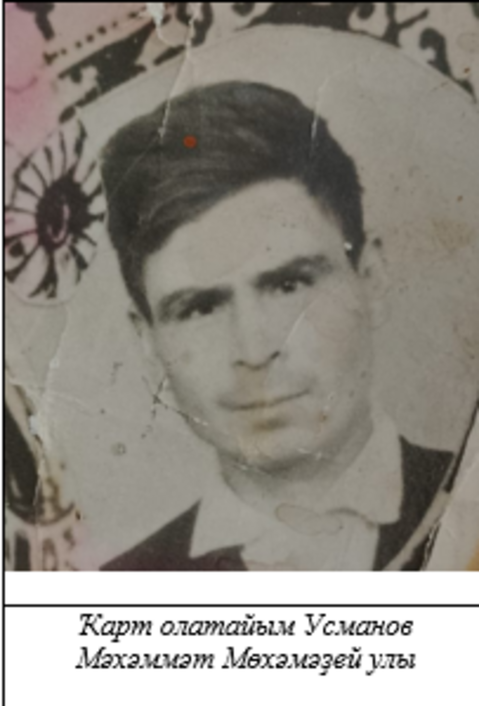 «Улар тыуған илен яҡлауҙы һайланы»