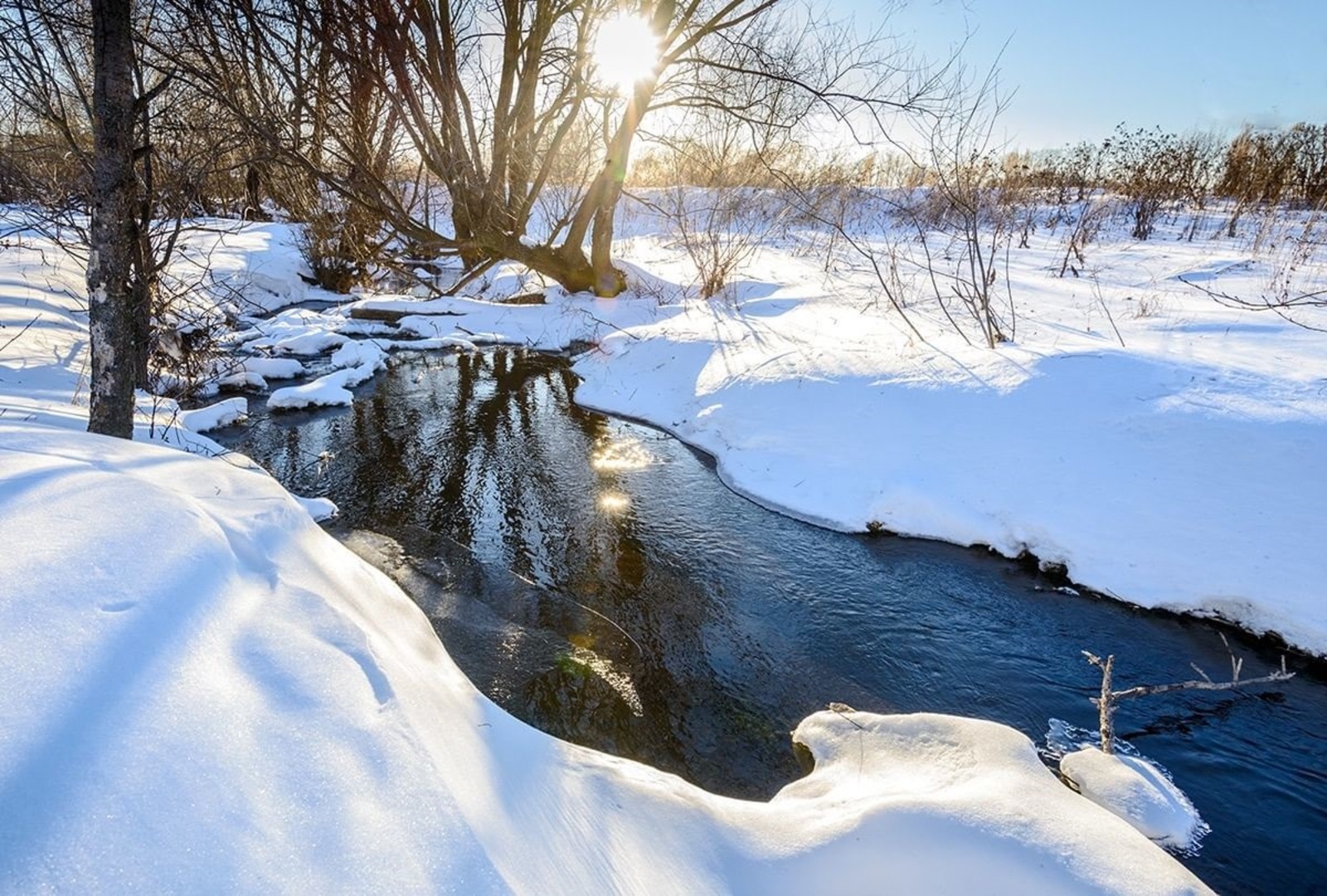 Март айына халыҡ һынамыштары
