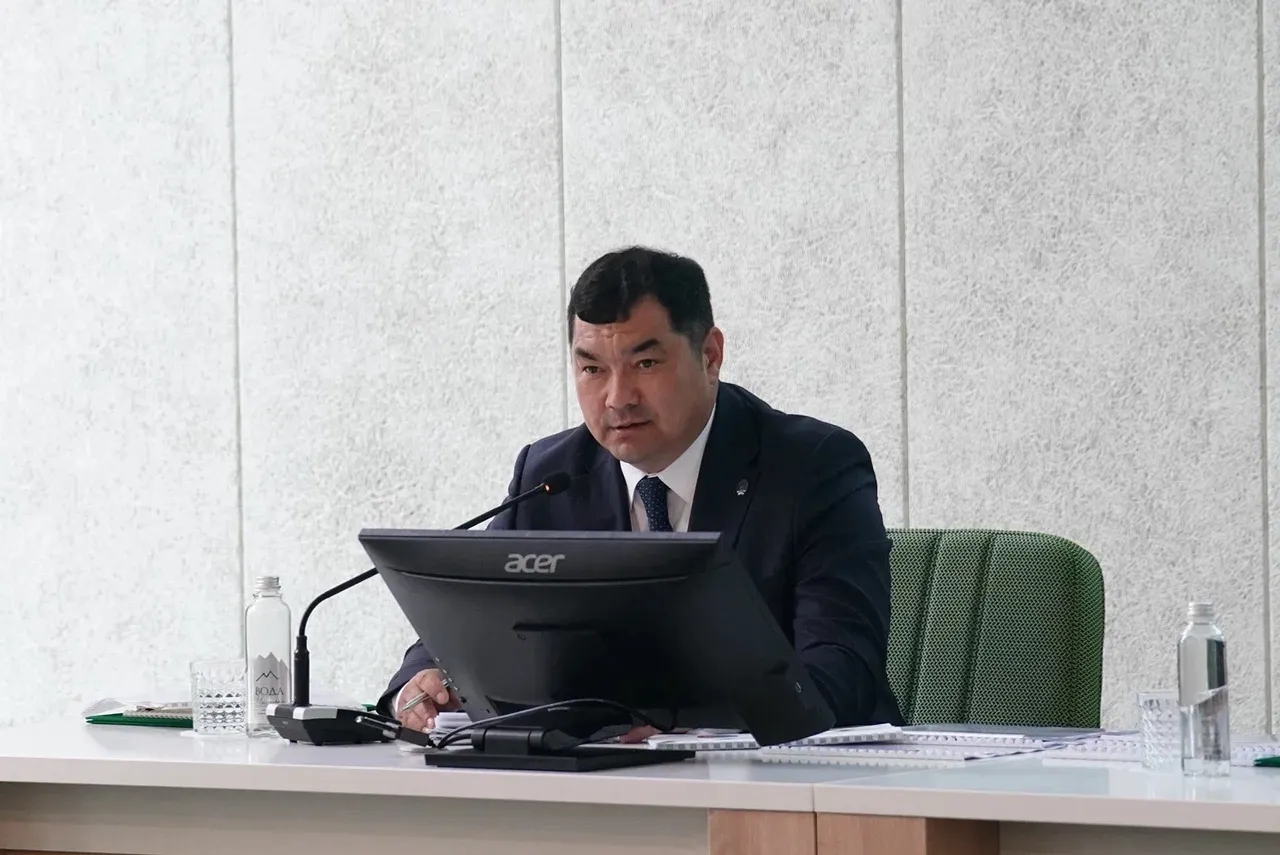 Приоритеты развития здравоохранения в Республике Башкортостан