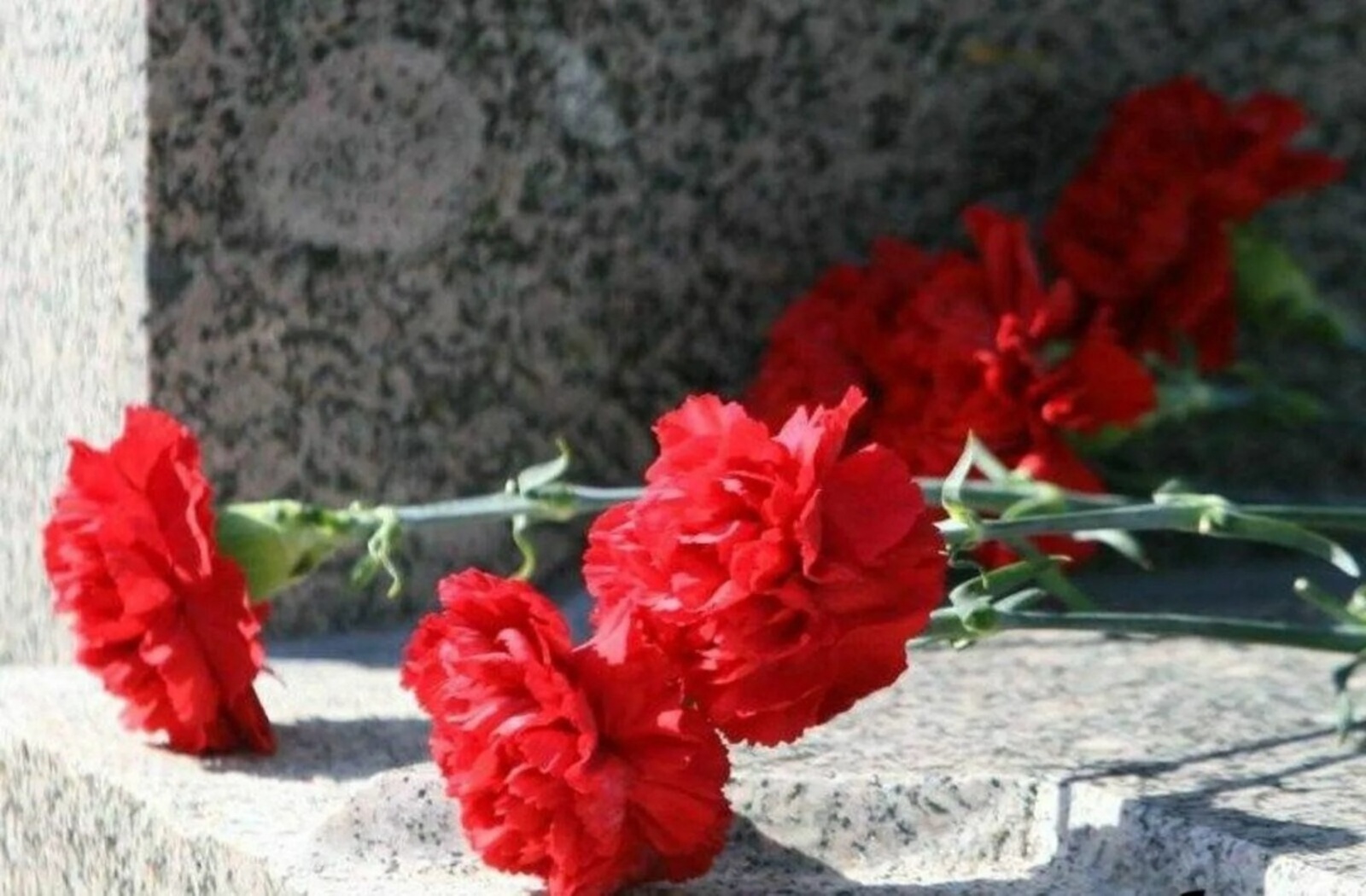 3 майҙа Башҡортостанда Хәтер һәм хөрмәт көнө уҙғарыла