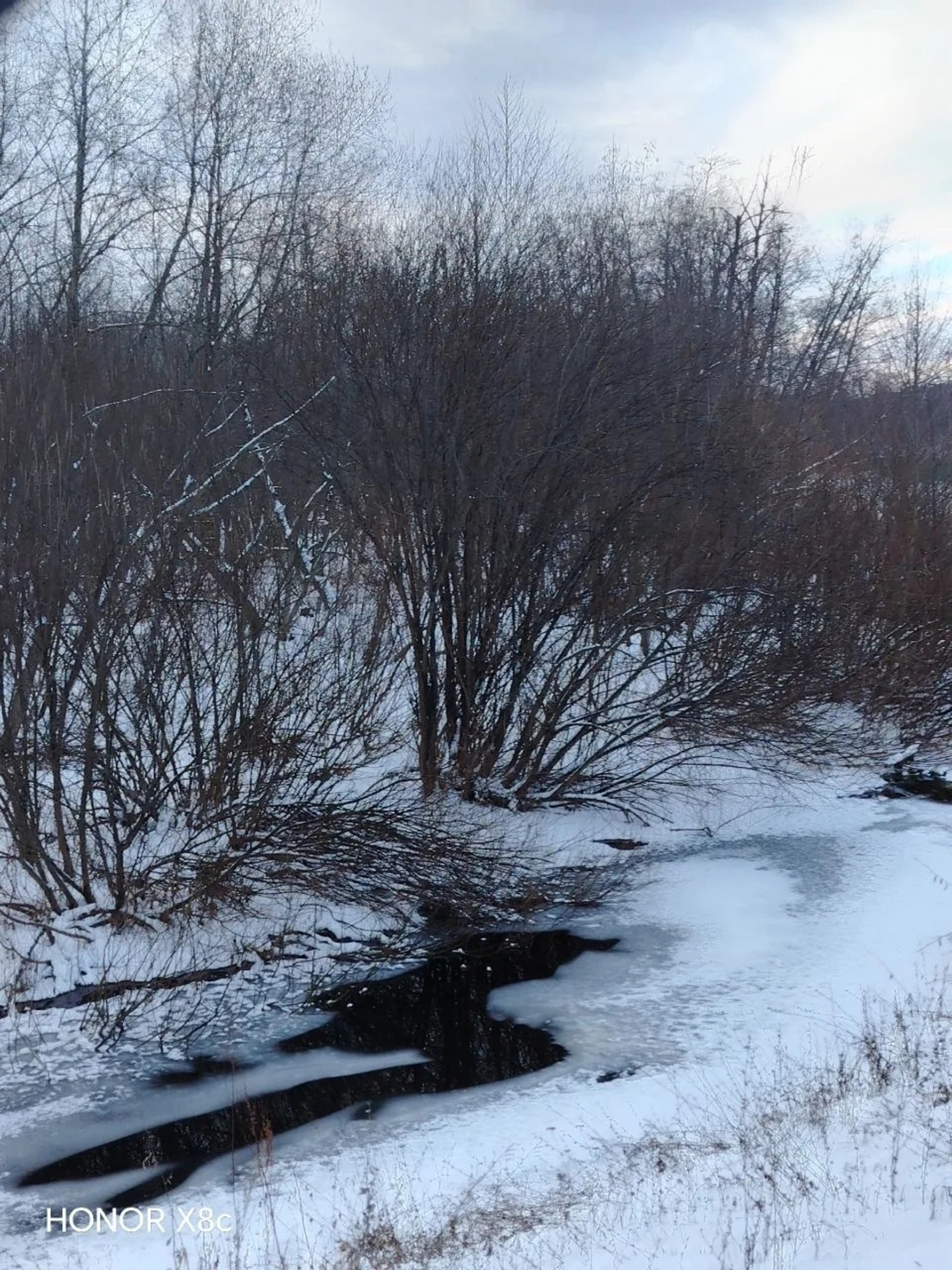 Ғинуар айына һынамыштар