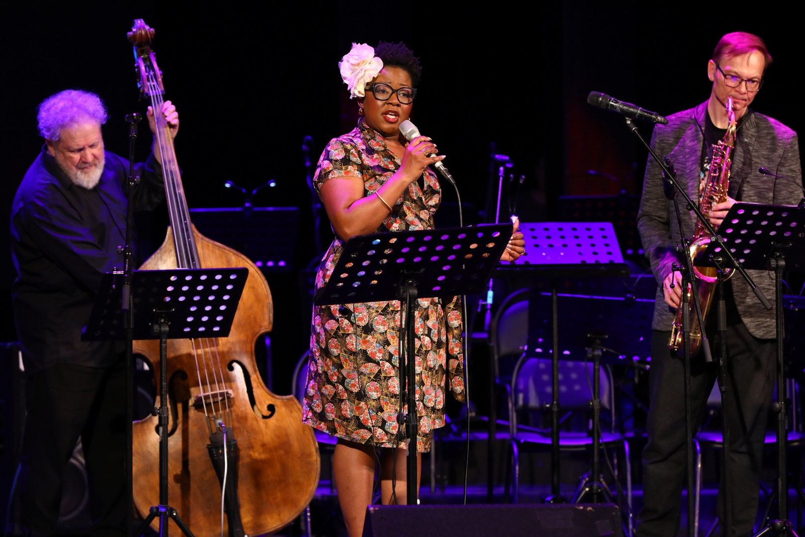 XXIX Международный джазовый фестиваль «Розовая пантера»