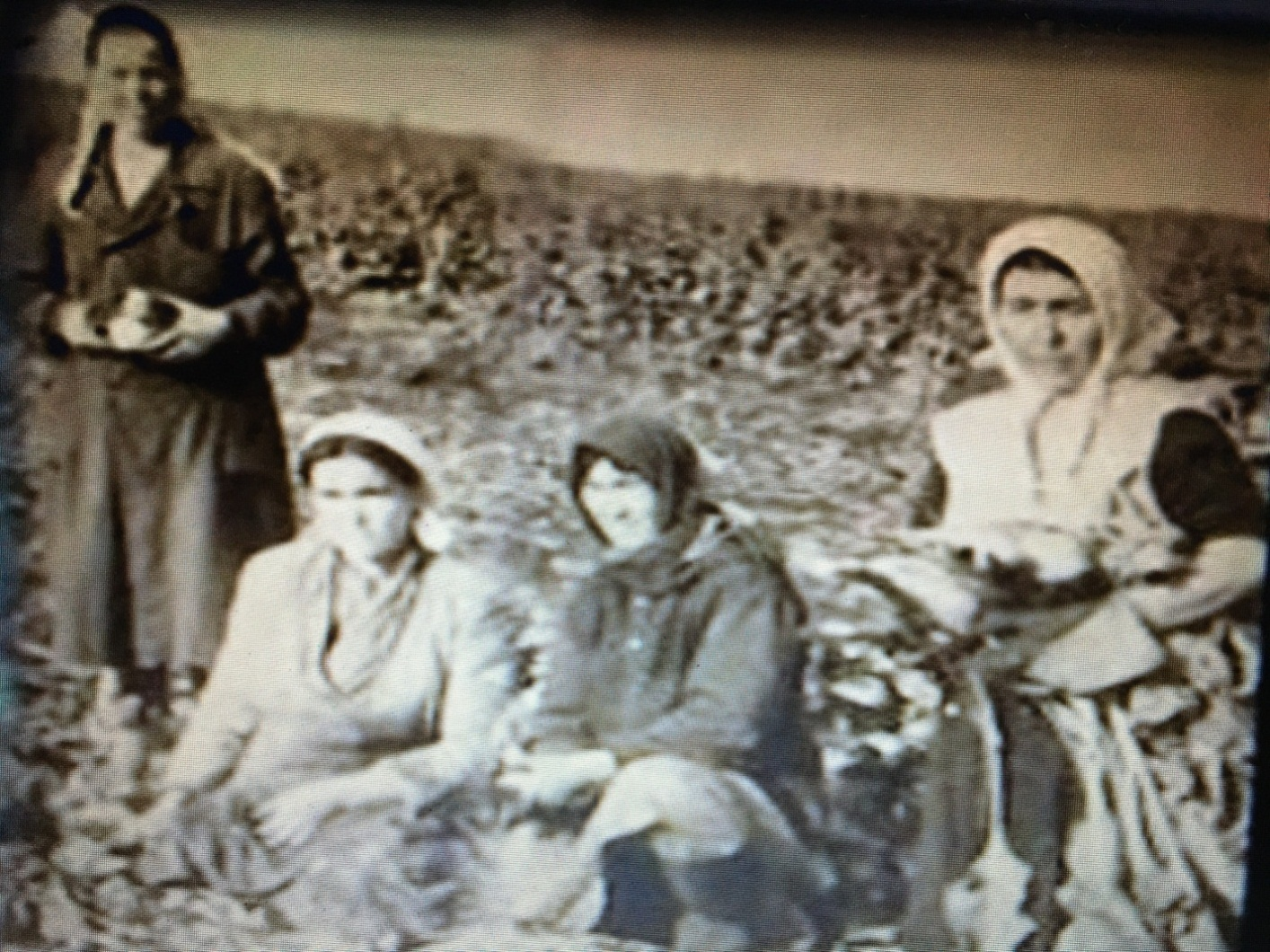 «Рухи байраҡ һинең исемең»