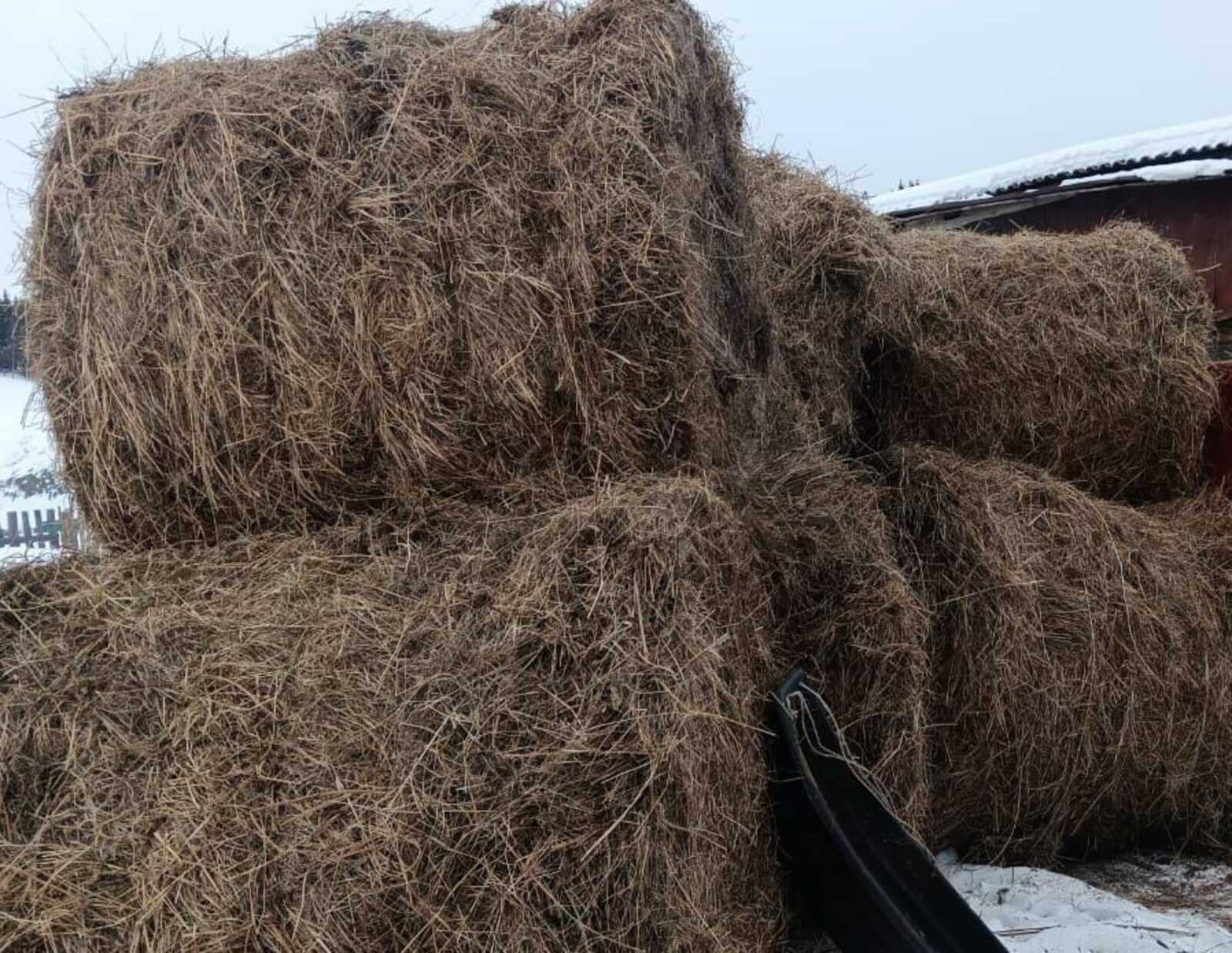 Изгелек ерҙә ятып ҡалмаҫ