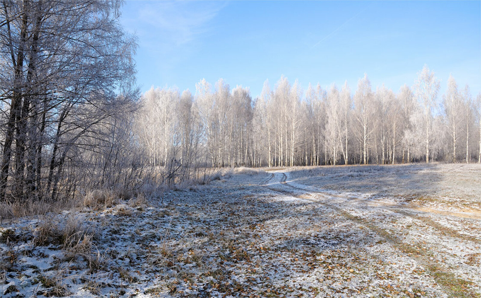Декабрь айына халыҡ һынамыштары