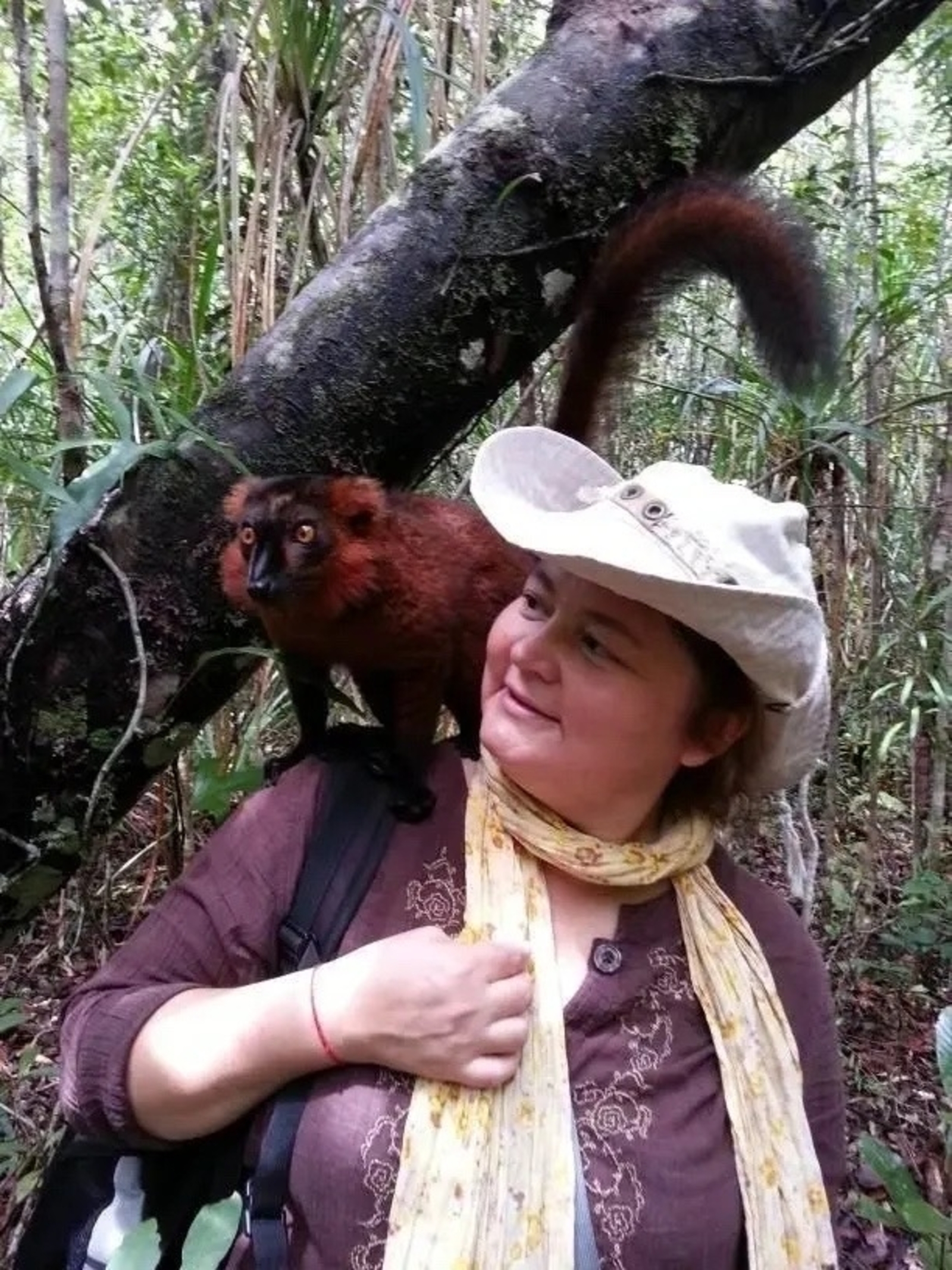 Вклад геологов в познание Земли