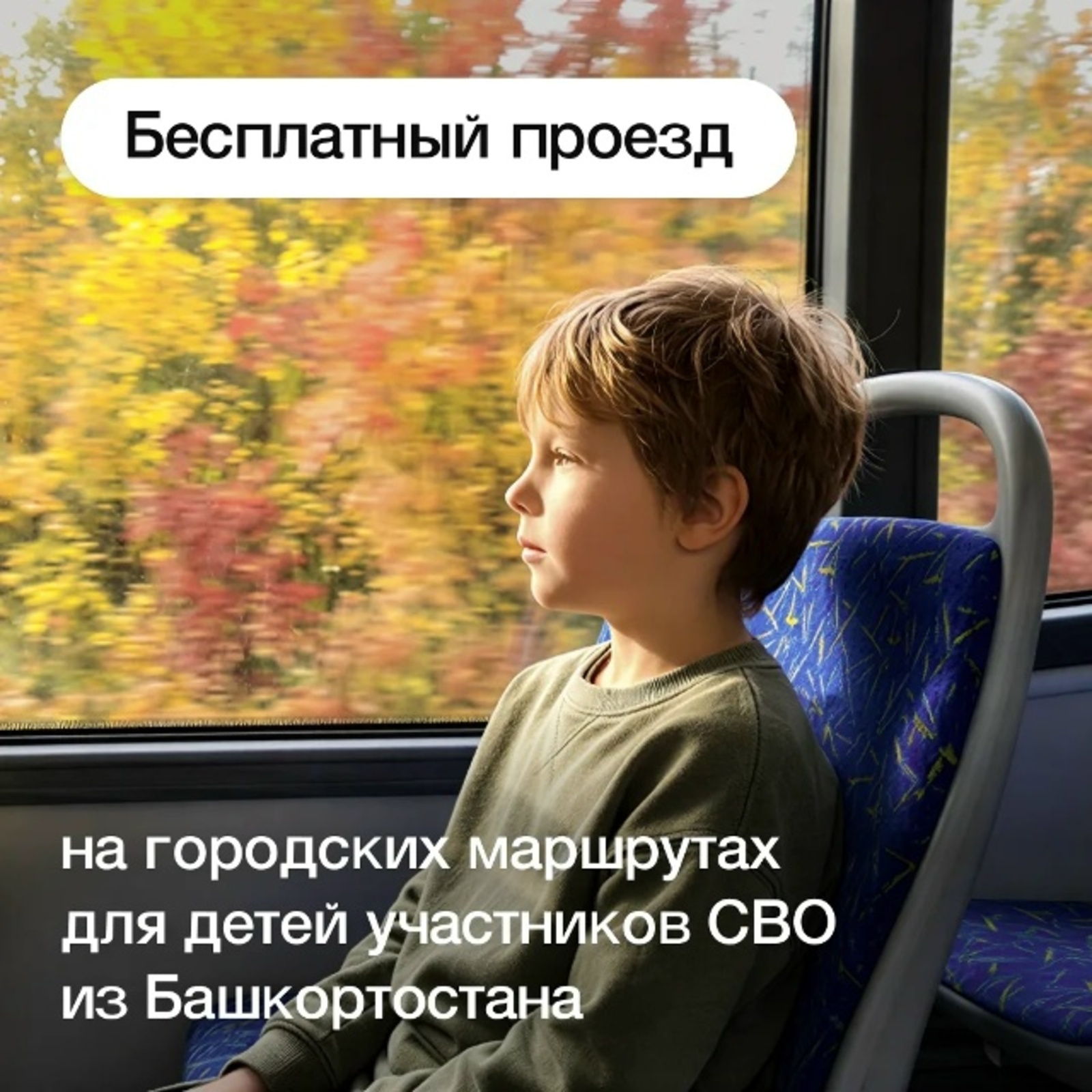 Бесплатный проезд на автобусах для детей участников СВО